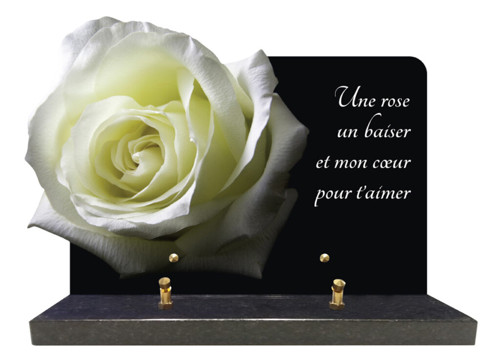 rose blanche avec phrase