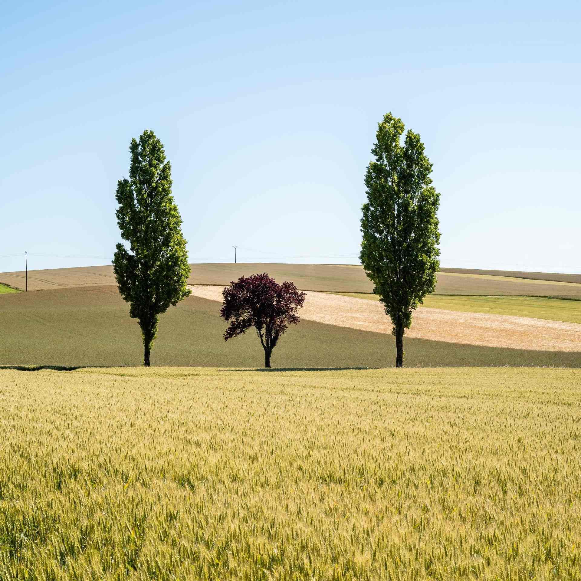 Photo de Jacques LEGOUEZ