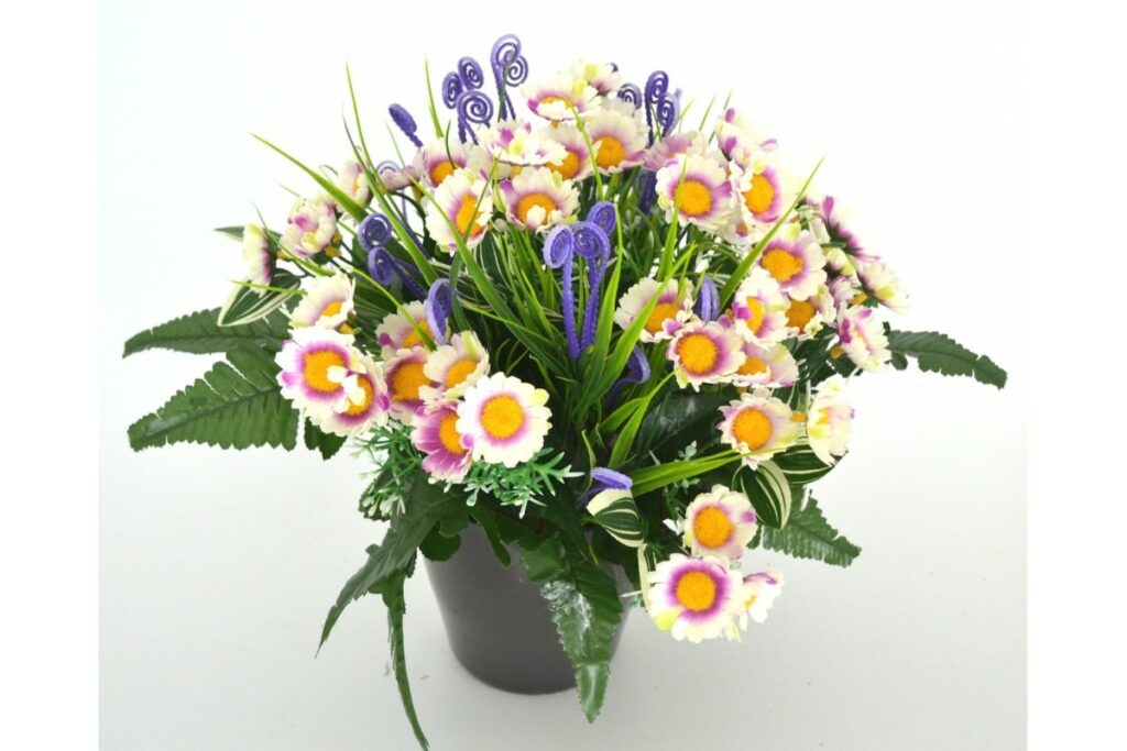 pot marguerites