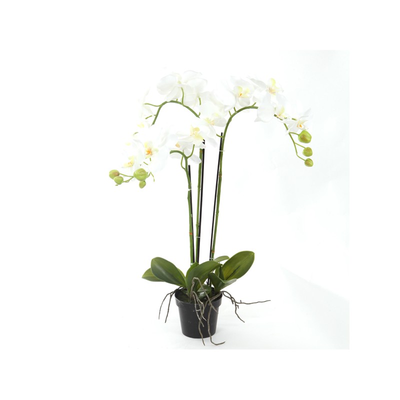 pot orchidee trois branches
